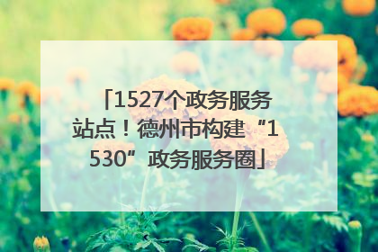 1527个政务服务站点！德州市构建“1530”政务服务圈