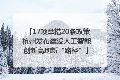 17项举措20条政策 杭州发布建设人工智能创新高地新“路径”