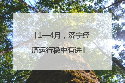 1—4月，济宁经济运行稳中有进