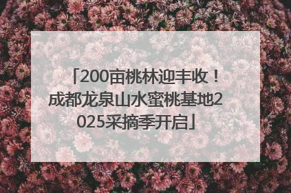 200亩桃林迎丰收！成都龙泉山水蜜桃基地2025采摘季开启