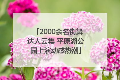 2000余名街舞达人云集 平原湖公园上演动感热潮