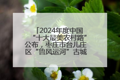 2024年度中国“十大最美农村路”公布，枣庄市台儿庄区“鲁风运河”古城文化廊道上榜！