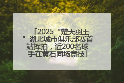 2025“楚天羽王”湖北城市俱乐部赛首站挥拍，近200名球手在黄石同场竞技