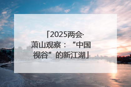 2025两会·萧山观察：“中国视谷”的新江湖