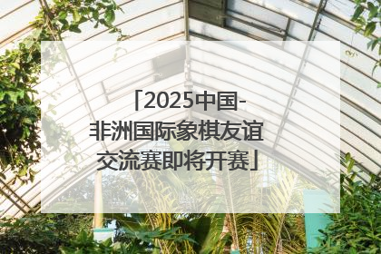2025中国-非洲国际象棋友谊交流赛即将开赛