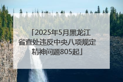 2025年5月黑龙江省查处违反中央八项规定精神问题805起