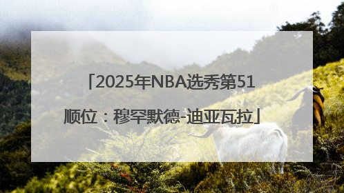 2025年NBA选秀第51顺位：穆罕默德-迪亚瓦拉