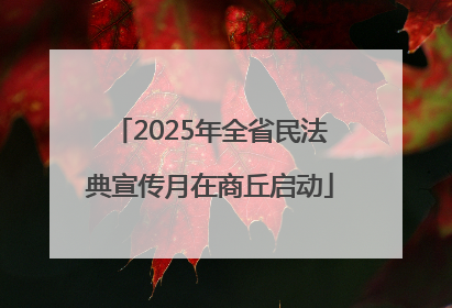 2025年全省民法典宣传月在商丘启动