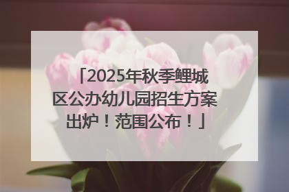 2025年秋季鲤城区公办幼儿园招生方案出炉！范围公布！