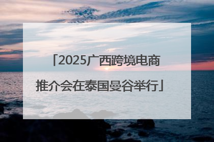 2025广西跨境电商推介会在泰国曼谷举行