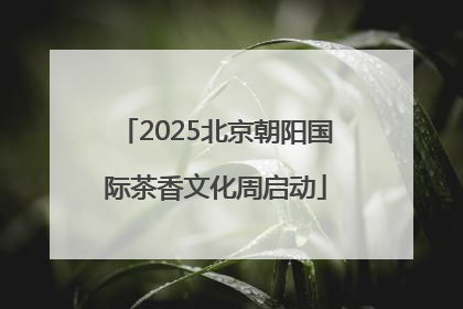 2025北京朝阳国际茶香文化周启动