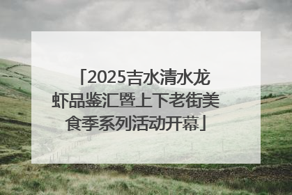 2025吉水清水龙虾品鉴汇暨上下老街美食季系列活动开幕