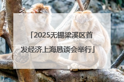 2025无锡梁溪区首发经济上海恳谈会举行
