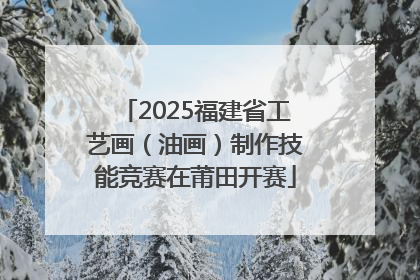 2025福建省工艺画（油画）制作技能竞赛在莆田开赛