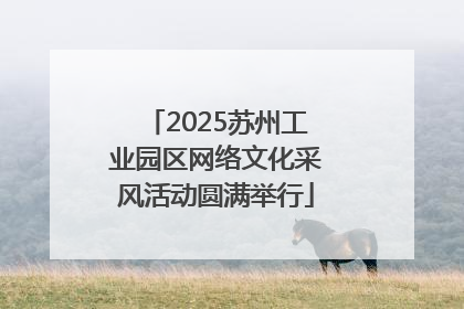 2025苏州工业园区网络文化采风活动圆满举行