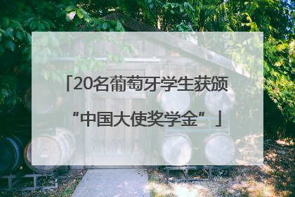 20名葡萄牙学生获颁“中国大使奖学金”
