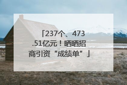 237个、473.51亿元！晒晒招商引资“成绩单”
