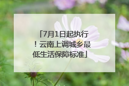 7月1日起执行！云南上调城乡最低生活保障标准