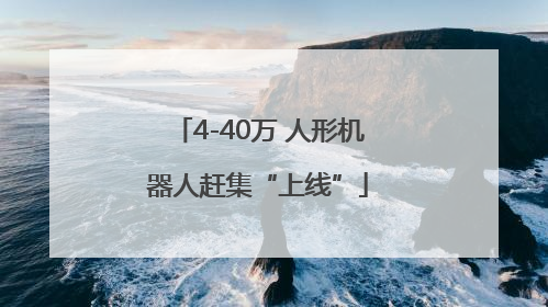 4-40万 人形机器人赶集“上线”