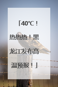 40℃！热热热！黑龙江发布高温预报！