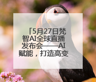 5月27日梵智AI全球直播发布会——AI赋能，打造高变现流量账号的全新纪元