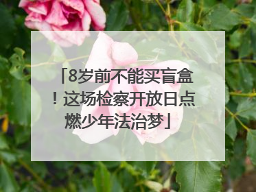 8岁前不能买盲盒！这场检察开放日点燃少年法治梦