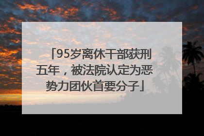 95岁离休干部获刑五年，被法院认定为恶势力团伙首要分子