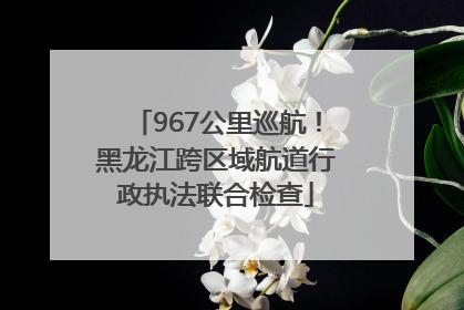 967公里巡航！黑龙江跨区域航道行政执法联合检查