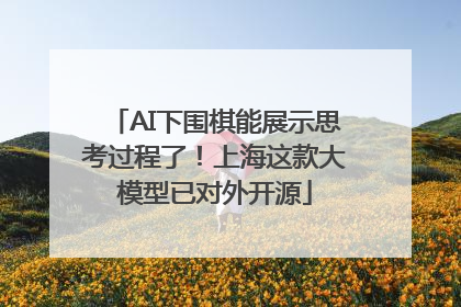 AI下围棋能展示思考过程了！上海这款大模型已对外开源