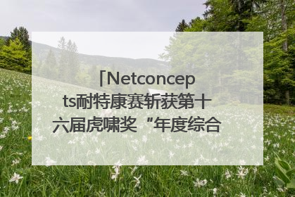 Netconcepts耐特康赛斩获第十六届虎啸奖“年度综合服务商”大奖