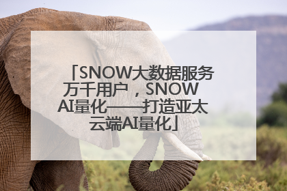 SNOW大数据服务万千用户，SNOW AI量化——打造亚太云端AI量化
