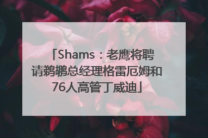 Shams：老鹰将聘请鹈鹕总经理格雷厄姆和76人高管丁威迪
